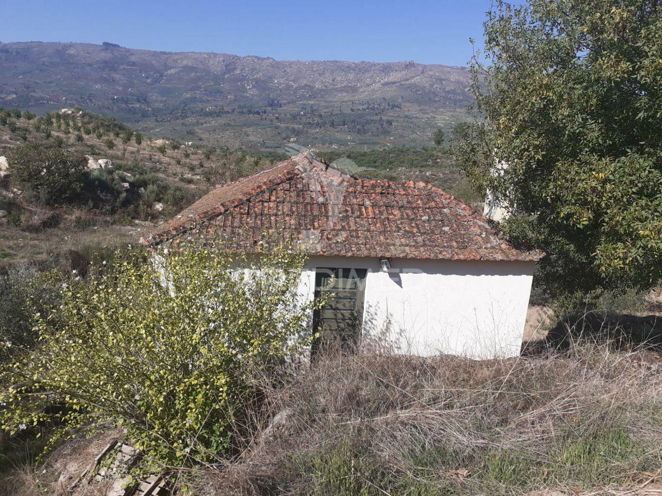 Quinta com mais 4 hectares na serra da aldeia nova