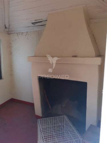 Quinta com mais 4 hectares na serra da aldeia nova