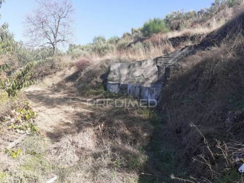 Quinta com mais 4 hectares na serra da aldeia nova