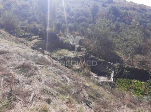 Quinta com mais 4 hectares na serra da aldeia nova