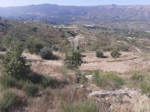 Quinta com mais 4 hectares na serra da aldeia nova