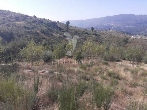 Quinta com mais 4 hectares na serra da aldeia nova