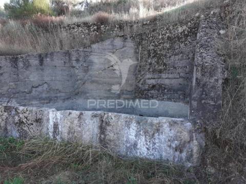 Quinta com mais 4 hectares na serra da aldeia nova