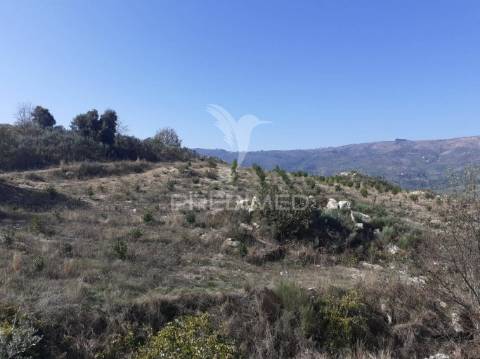 Quinta com mais 4 hectares na serra da aldeia nova