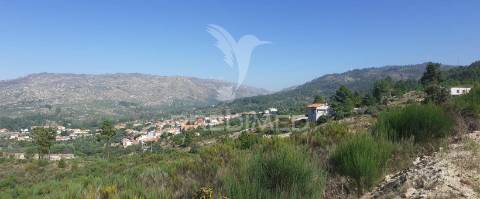 Quinta com mais 4 hectares na serra da aldeia nova