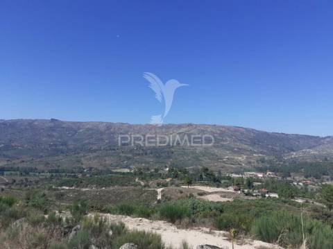 Quinta com mais 4 hectares na serra da aldeia nova