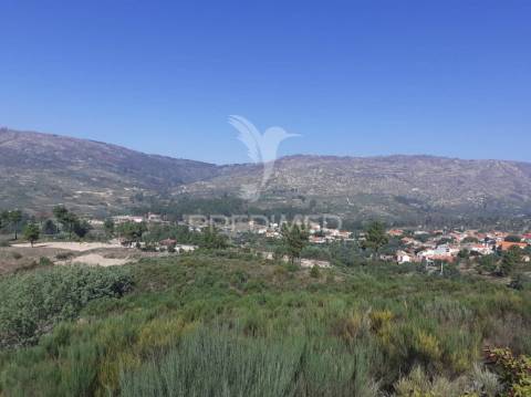 Quinta com mais 4 hectares na serra da aldeia nova