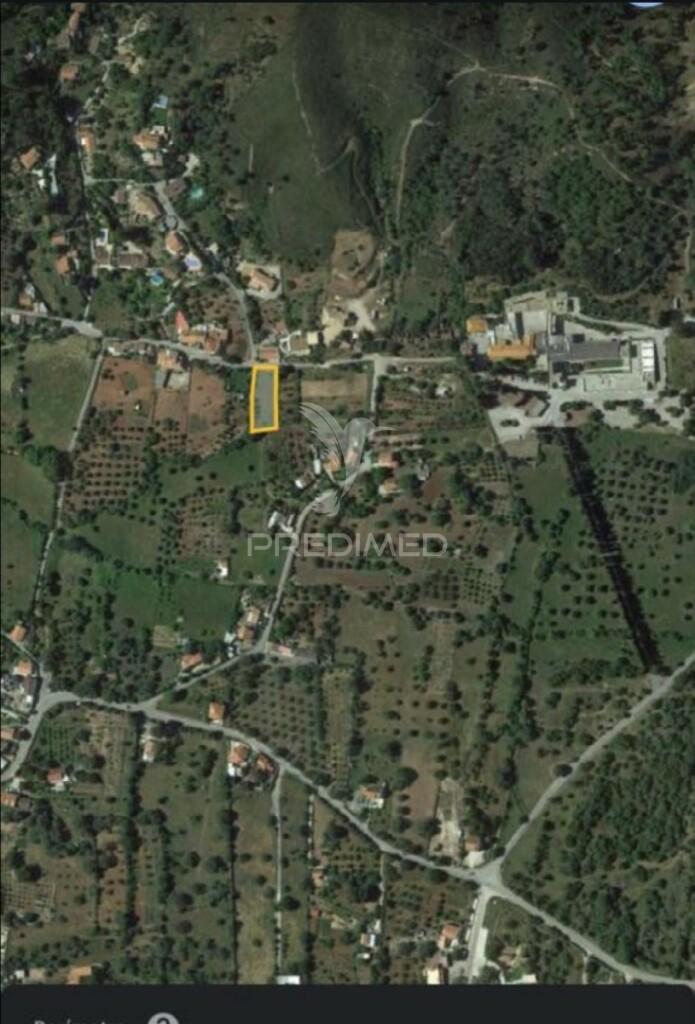 Terreno rustico em almargens
