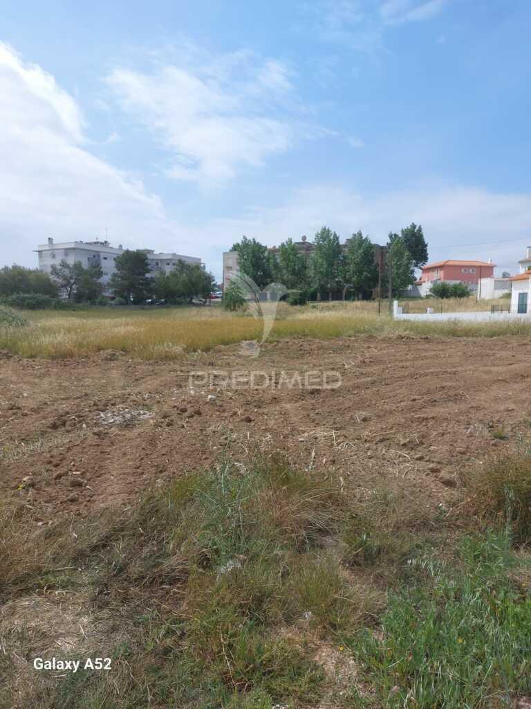 Terrenho urbano