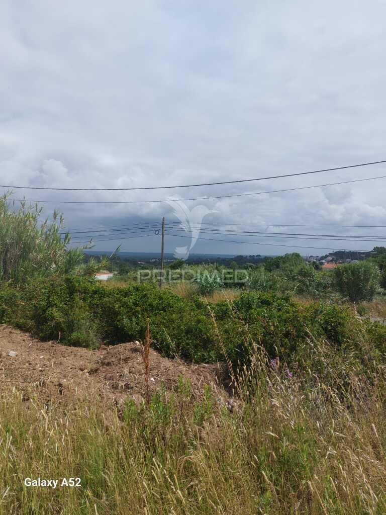 Terrenho urbano