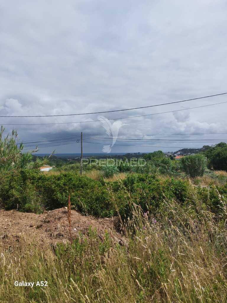 Terrenho urbano