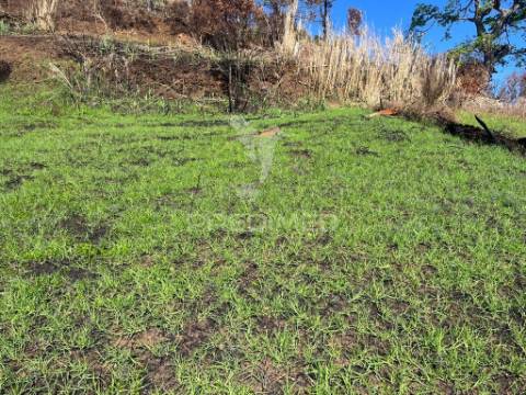Vendo terreno na calheta- raposeira com 2.600 m2