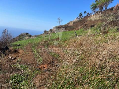 Vendo terreno na calheta- raposeira com 2.600 m2