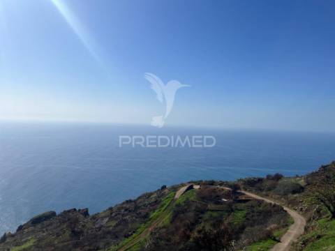 Vendo terreno na calheta- raposeira com 2.600 m2