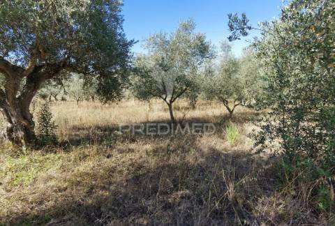 Armazém, são vicente do paúl / santarém