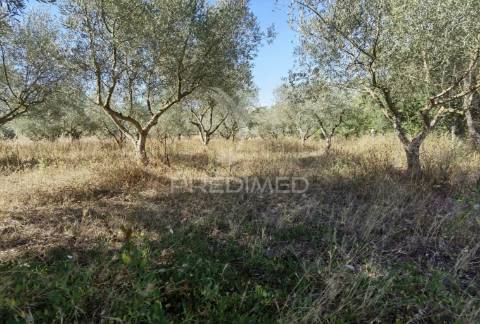 Armazém, são vicente do paúl / santarém