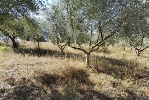 Armazém, são vicente do paúl / santarém