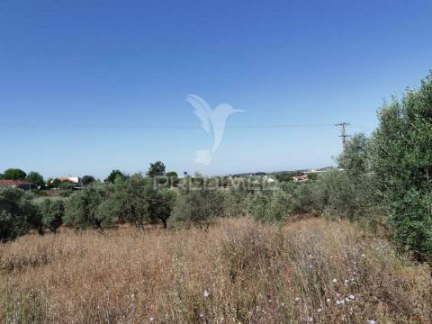 Armazém, são vicente do paúl / santarém