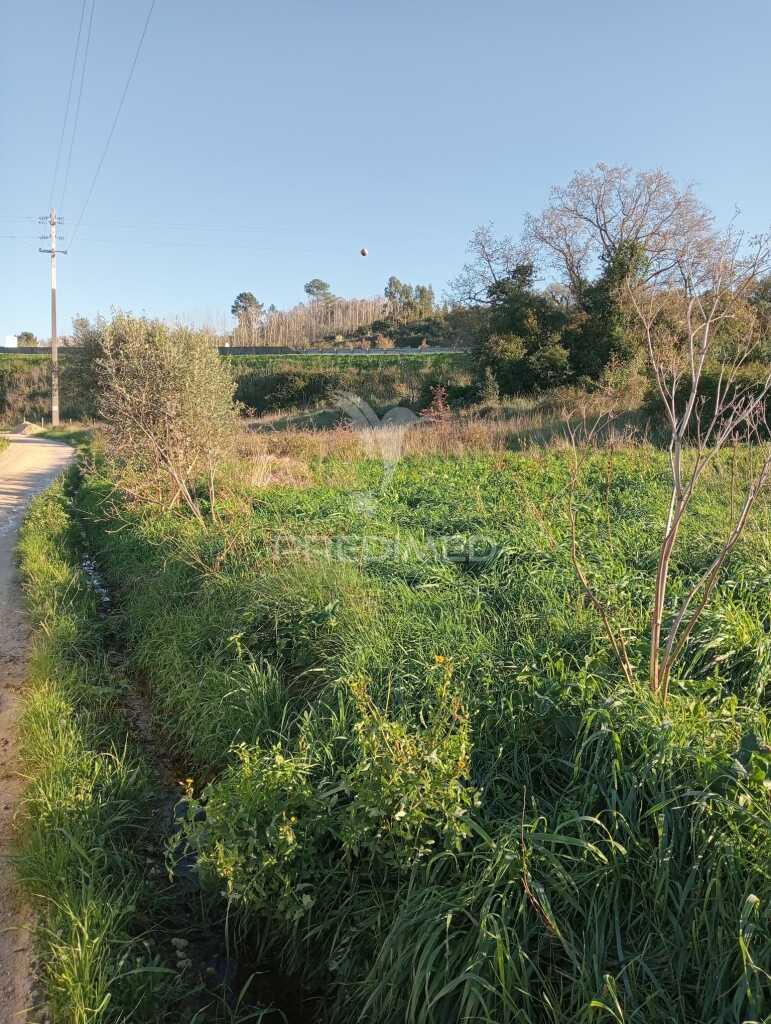 Terreno rustico - ribeira de baixo, porto de mós