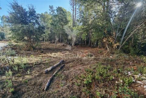 Lote de terreno urbano em minde / alcanena