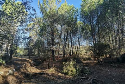 Lote de terreno urbano em minde / alcanena