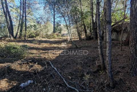 Lote de terreno urbano em minde / alcanena