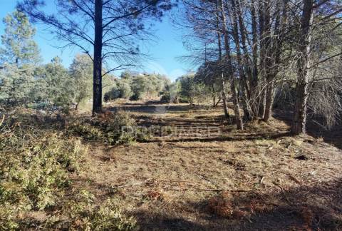 Lote de terreno urbano em minde / alcanena