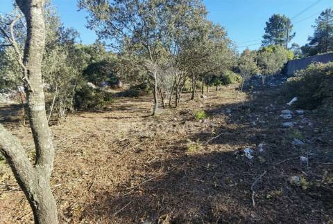 Lote de terreno urbano em minde / alcanena