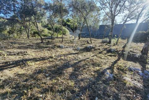 Lote de terreno urbano em minde / alcanena