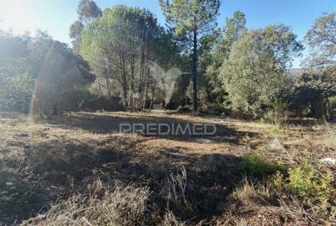 Lote de terreno urbano em minde / alcanena