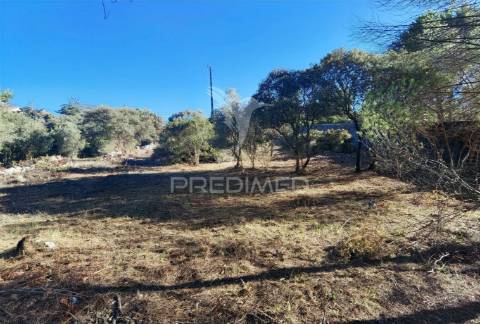 Lote de terreno urbano em minde / alcanena