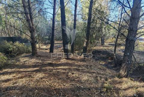 Lote de terreno urbano em minde / alcanena