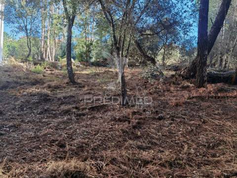 Lote de terreno urbano em minde / alcanena