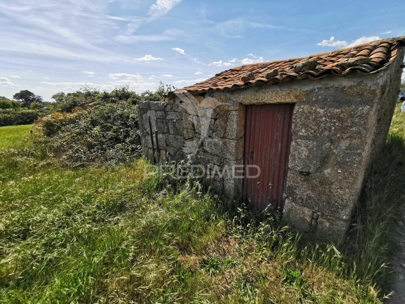 Terreno com poço e casa registada na lardosa, castelo branco