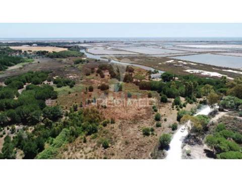 Quinta das mouras - para edificar hotel 