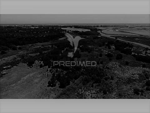 Quinta das mouras - para edificar hotel 