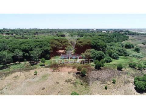 Quinta das mouras - para edificar hotel 