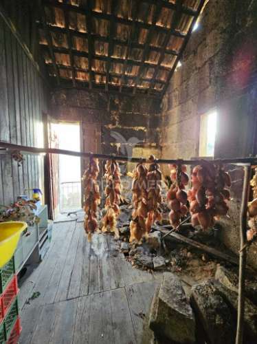 Moradia para restauro em silvares (s. martinho) - fafe