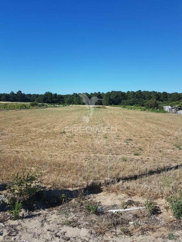 Terreno rustico e urbano  foros de salvaterra - 45.000.00 euros