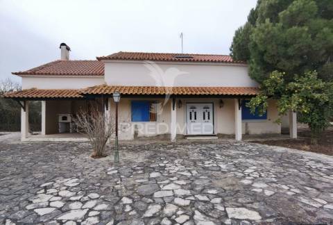 Quinta dos nossos sonhos, localizada na cidade do cartaxo