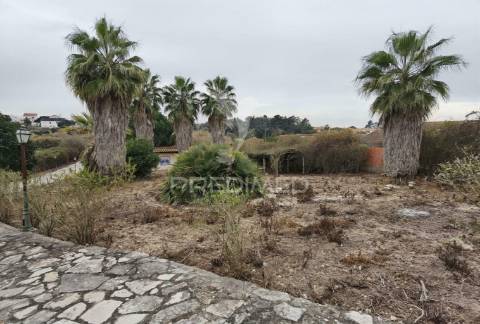 Quinta dos nossos sonhos, localizada na cidade do cartaxo