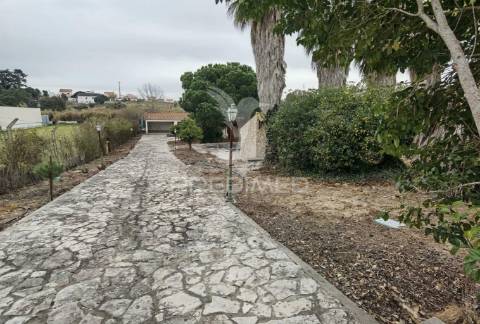 Quinta dos nossos sonhos, localizada na cidade do cartaxo