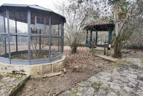 Quinta dos nossos sonhos, localizada na cidade do cartaxo