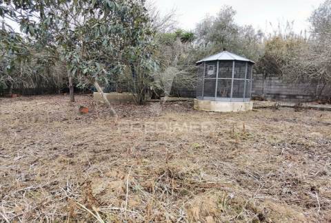 Quinta dos nossos sonhos, localizada na cidade do cartaxo