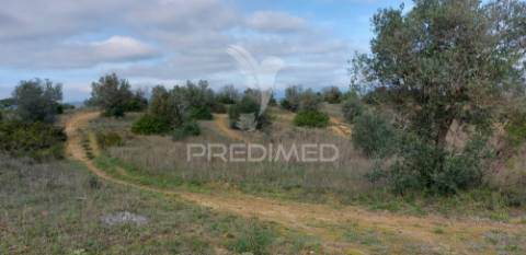 Terreno rústico com 25.560 m2, conselho de santarém.