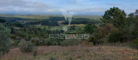 Terreno rústico com 25.560 m2, conselho de santarém.