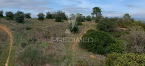 Terreno rústico com 25.560 m2, conselho de santarém.