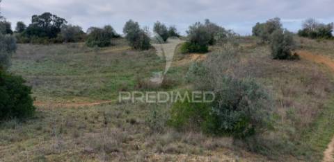 Terreno rústico com 25.560 m2, conselho de santarém.