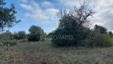Terreno rústico com 25.560 m2, conselho de santarém.
