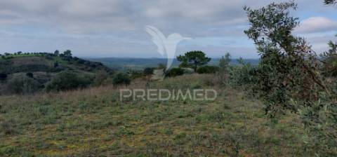 Terreno rústico com 25.560 m2, conselho de santarém.